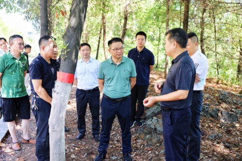市政府副市长刘仁羿到安源区督导中秋假期道路交通安全工作